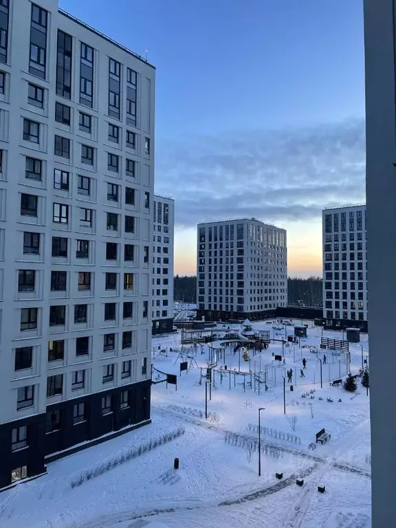 Студия Санкт-Петербург Планерная ул., 99 (22.0 м) - Фото 1