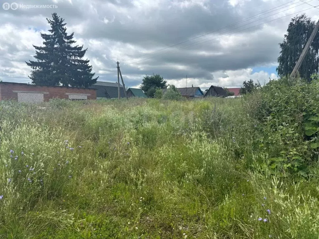 Участок в посёлок Бабынино, Северная улица, 38 (34 м) - Фото 2