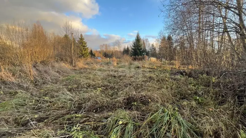 Участок в Ленинградская область, Киришский район, Будогощское ... - Фото 1