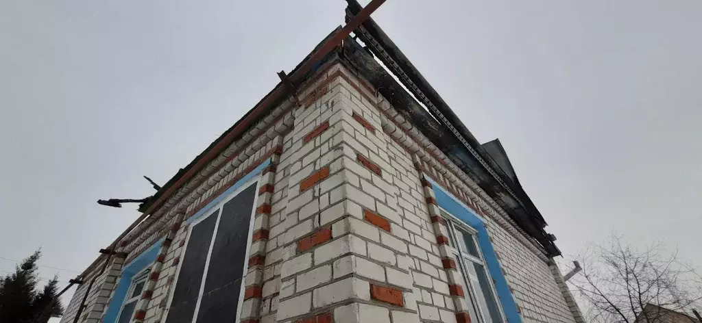 Дом в Нижегородская область, Нижний Новгород с. Ближнее Борисово, ул. ... - Фото 1