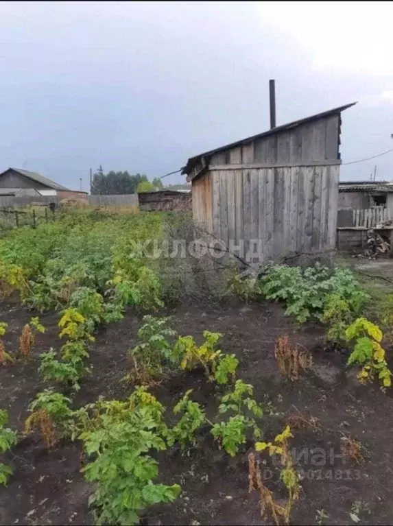 Дом в Новосибирская область, Ордынский район, д. Березовка Новая ул. ... - Фото 0