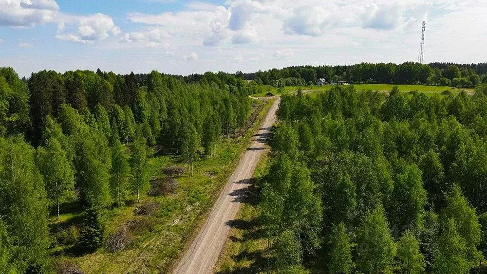 Участок в Ленинградская область, Выборгский район, Рощинское городское ... - Фото 0