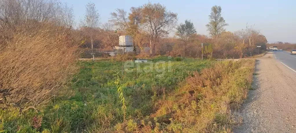 Участок в Приморский край, Артемовский городской округ, с. Кневичи ... - Фото 0