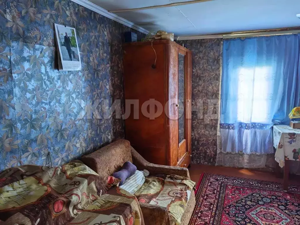 Дом в Новосибирская область, Ордынский район, с. Нижнекаменка ул. ... - Фото 2