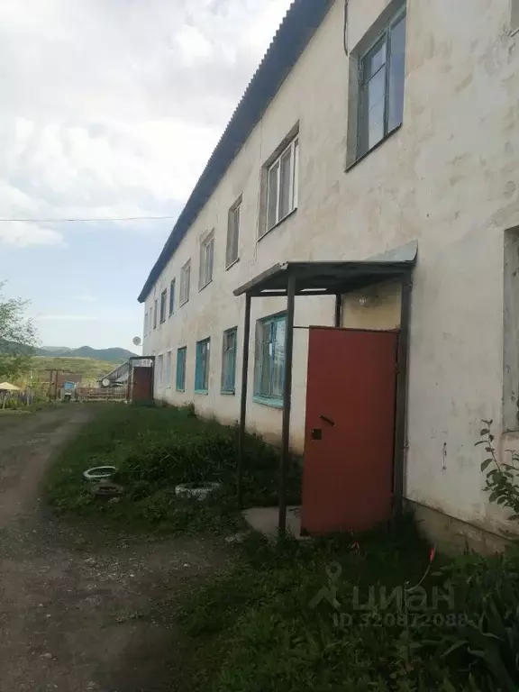 1-к кв. Оренбургская область, Кувандык ул. Свободы, 20 (35.3 м) - Фото 2