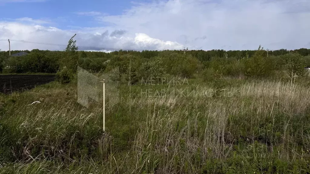 Участок в Тюменская область, Тюменский район, д. Елань  (16.0 сот.) - Фото 0