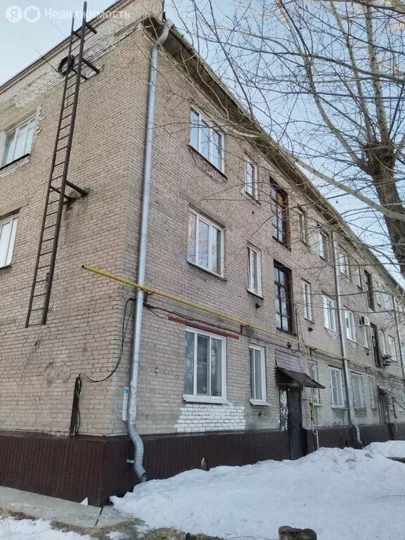 1-комнатная квартира: Барнаул, Малый Прудской переулок, 46 (26.2 м) - Фото 1