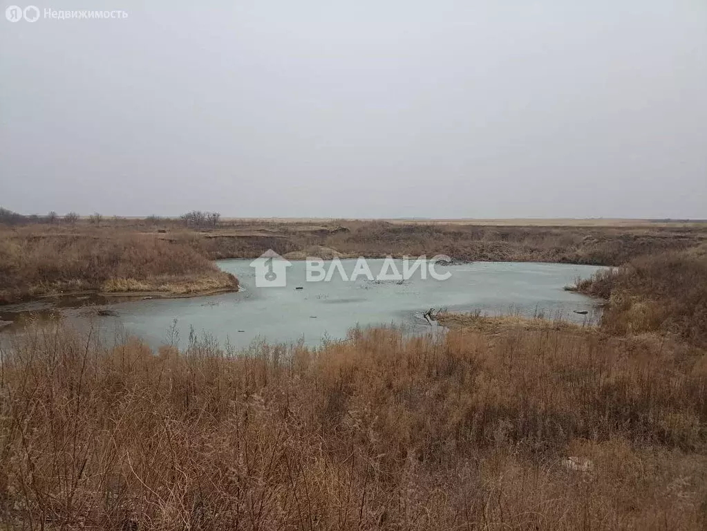 Участок в Амурская область, Ивановский муниципальный округ, село ... - Фото 0