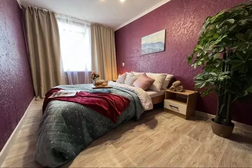 2-к кв. Новосибирская область, Новосибирск Красный просп., 70 (56.0 м) - Фото 1