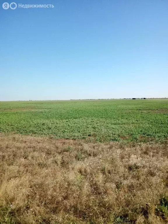 Участок в Сакский район, Ромашкинское сельское поселение, село Колоски ... - Фото 1