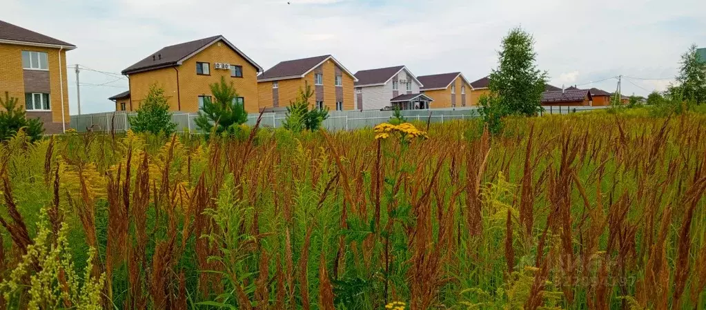 Участок в Нижегородская область, Бор муниципальный округ, пос. ... - Фото 1