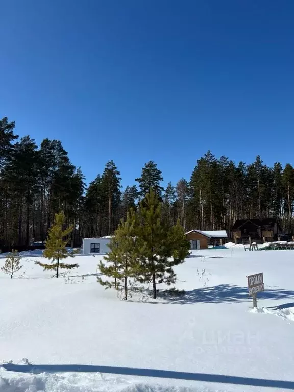 Участок в Новосибирская область, Новосибирский район, Кубовинский ... - Фото 0