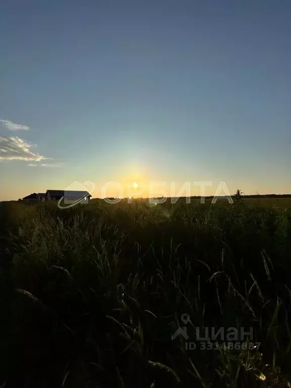 Участок в Тюменская область, Тюмень Большое Царево-1 СНТ,  (10.0 сот.) - Фото 2