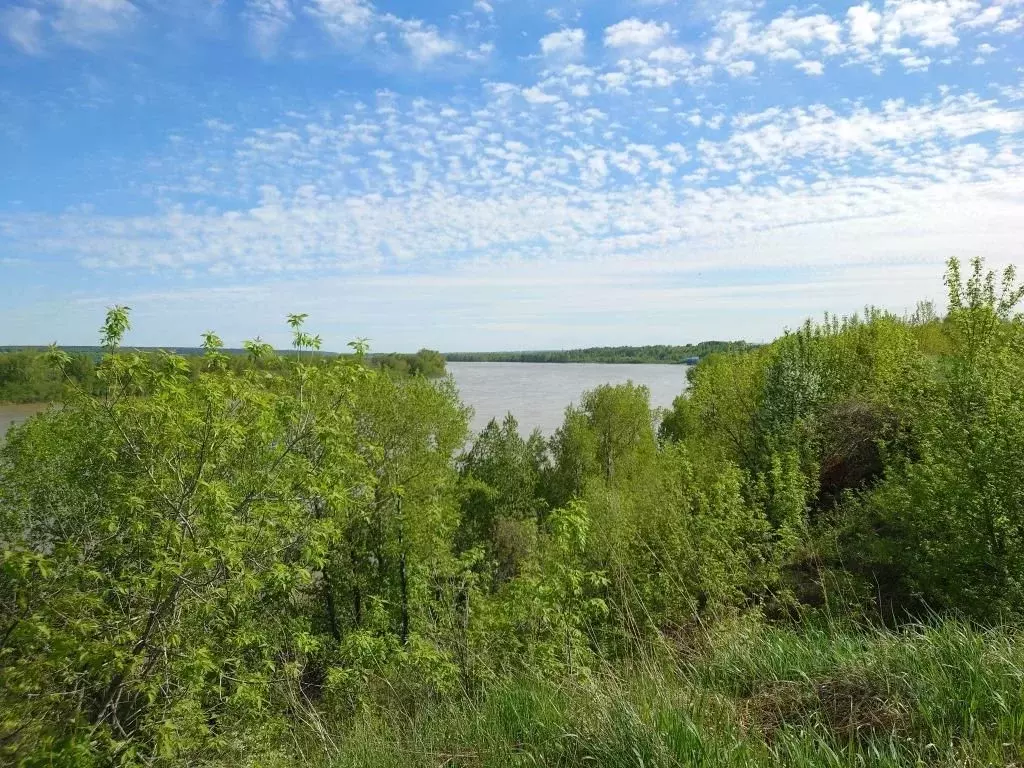 Участок в Кемеровская область, Кемеровский муниципальный округ, пос. ... - Фото 1