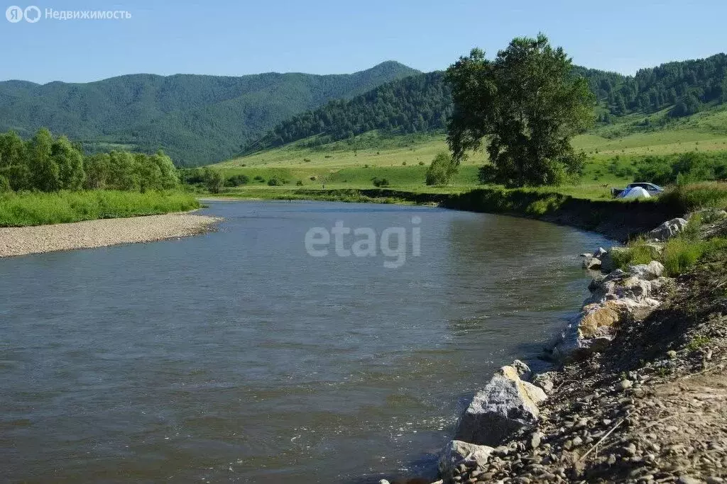 Участок в Волчихинский район, Солоновский сельсовет, село Солоновка ... - Фото 2