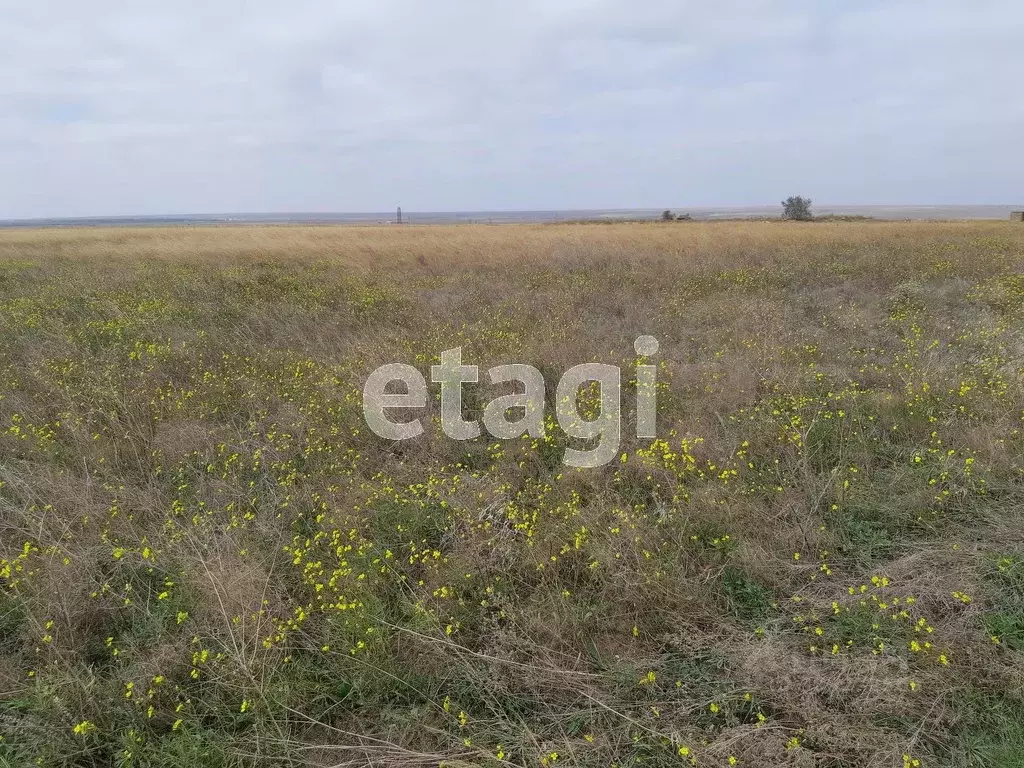 Участок в Крым, Сакский район, с. Штормовое  (6.0 сот.) - Фото 0