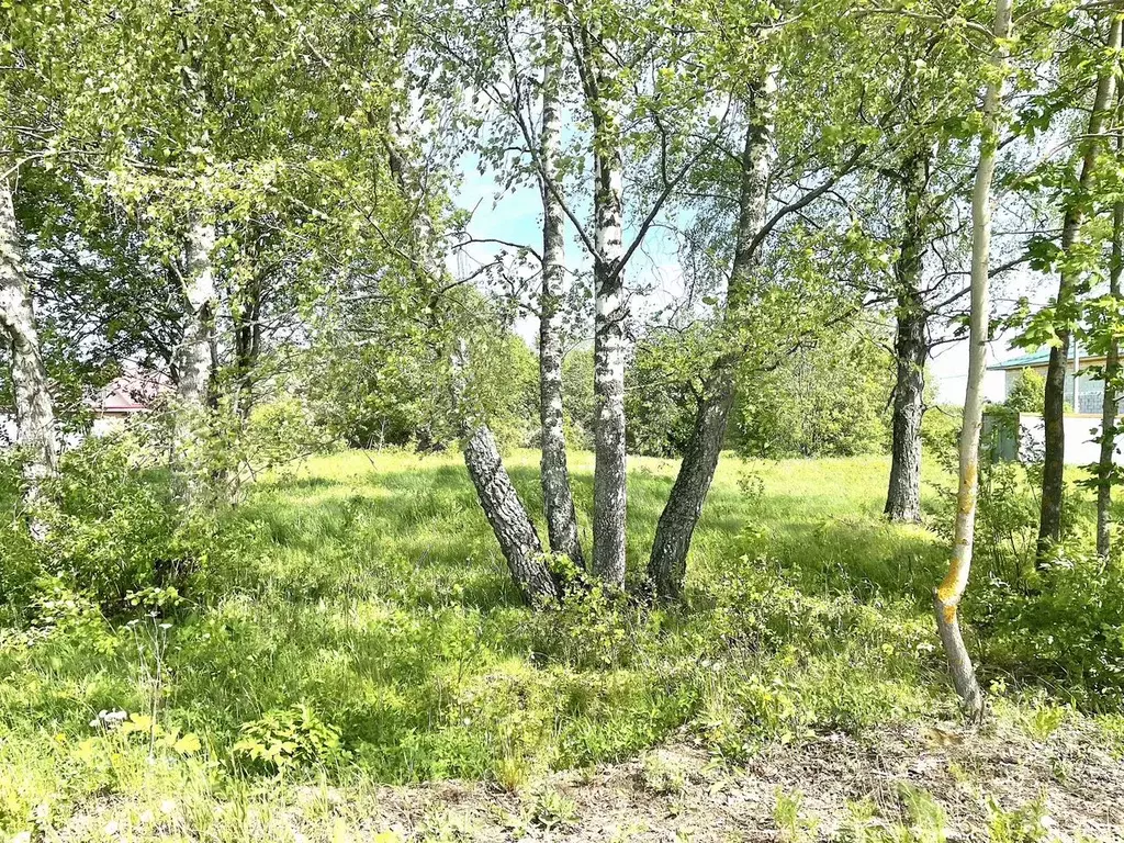 Участок 6,3 сот. (ИЖС) - Фото 1