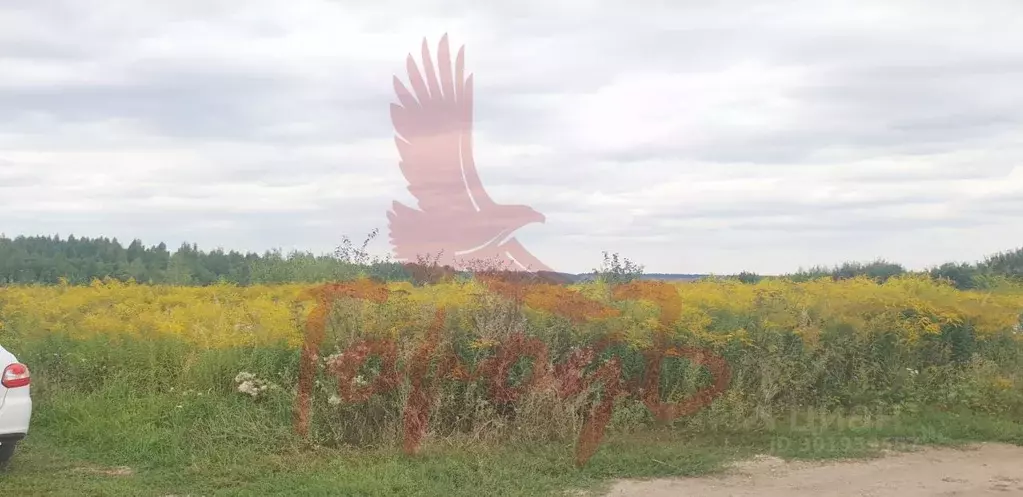 Участок в Орловская область, Орловский муниципальный округ, д. ... - Фото 1