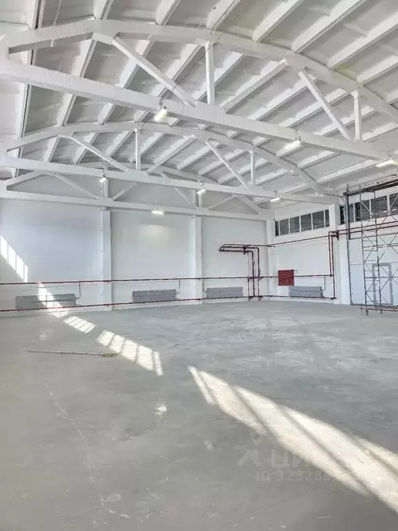 Склад в Новосибирская область, Новосибирск ул. Богдана Хмельницкого, ... - Фото 1