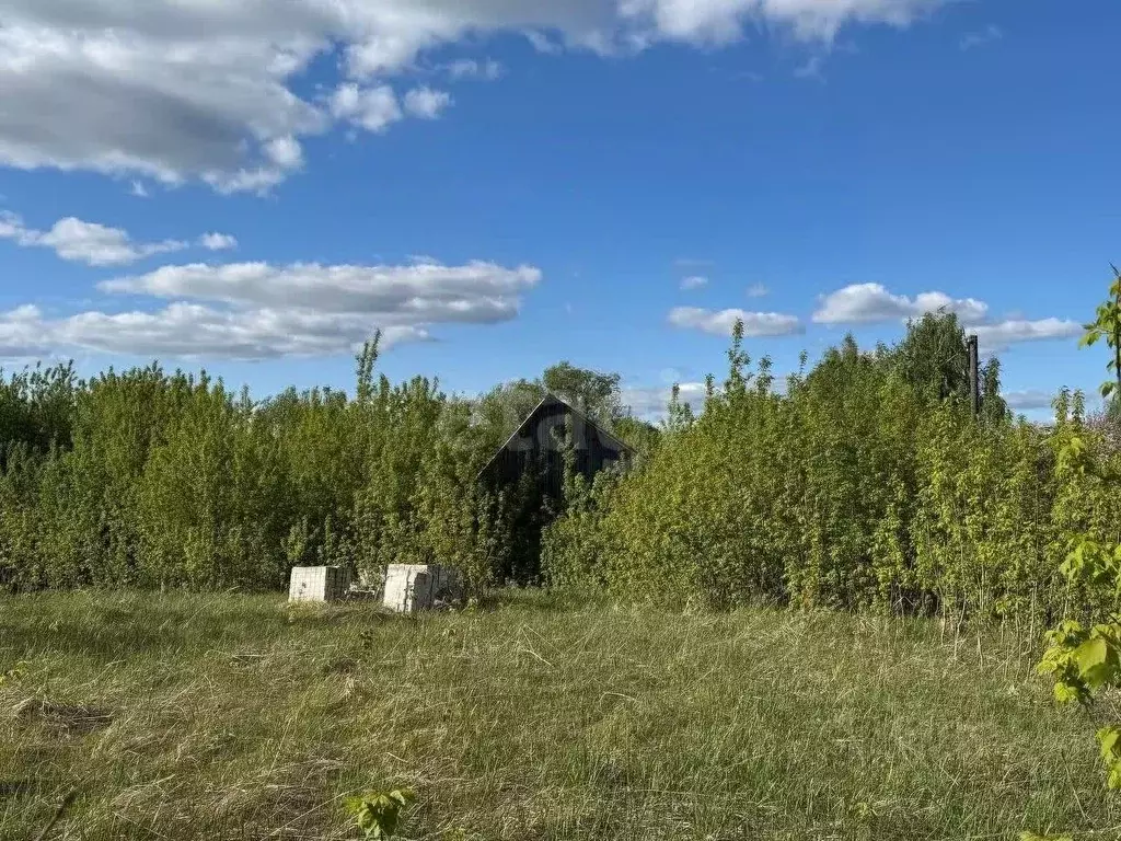 Дом в Брянская область, Выгоничское городское поселение, пос. Заречье ... - Фото 1