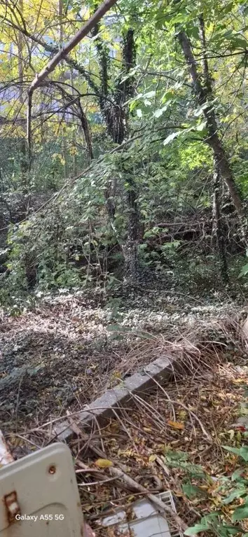 Участок в Крым, Ялта ул. Мошкарина, 9 (8.5 сот.) - Фото 1