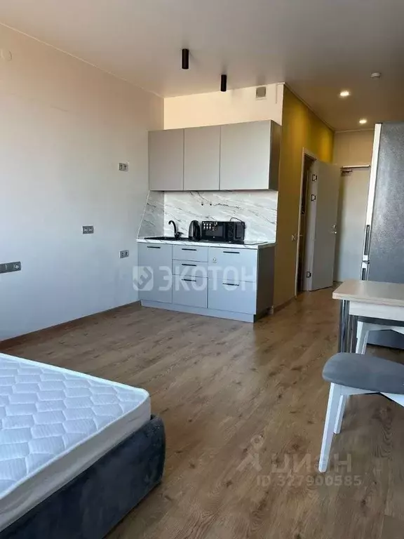 Студия Санкт-Петербург дор. На Турухтанные острова, 5к1 (25.0 м) - Фото 1