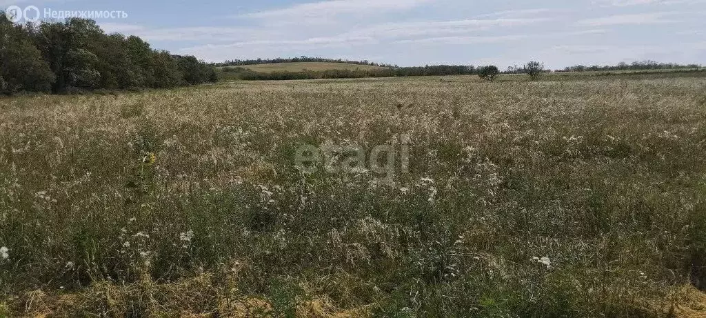 Участок в село Цибанобалка, Ольховская улица (5.2 м) - Фото 1