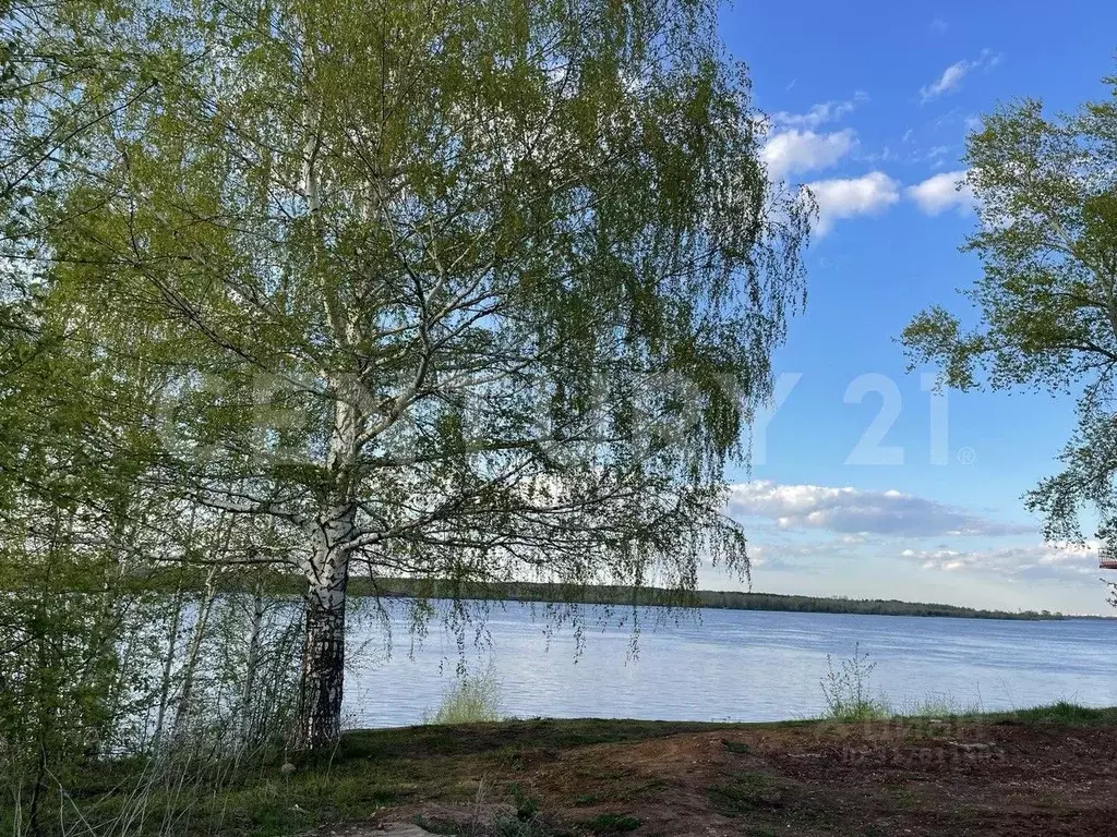 Участок в Пермский край, д. Усть-Тары ул. Пересвета, 13 (12.5 сот.) - Фото 0