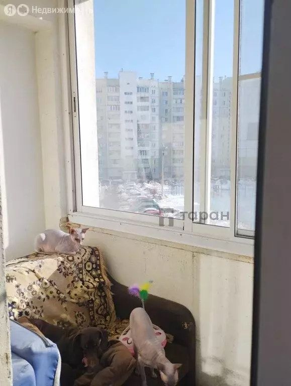 1-комнатная квартира: Челябинск, улица Профессора Благих, 61 (40.8 м) - Фото 2