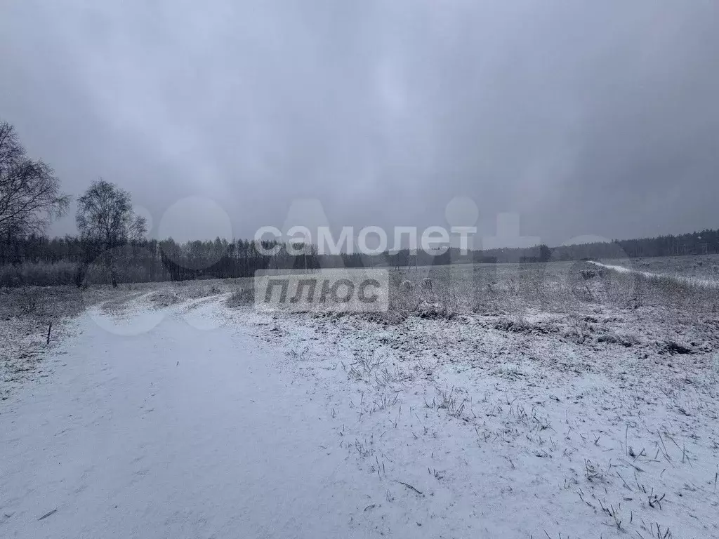 Участок 100 сот. (ИЖС) - Фото 1