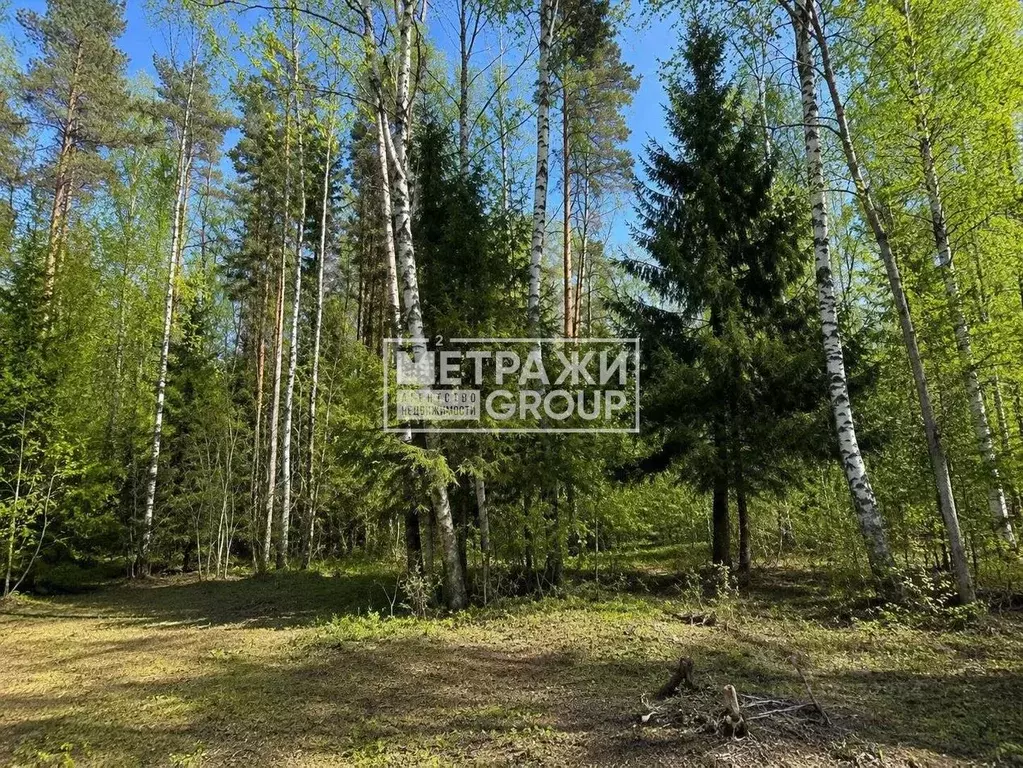 Участок в Московская область, Щелково городской округ, Литвиново Парк ... - Фото 1