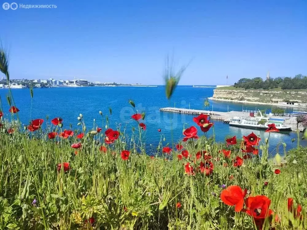 Дом в Севастополь, улица Инженерная Балка (45 м) - Фото 1