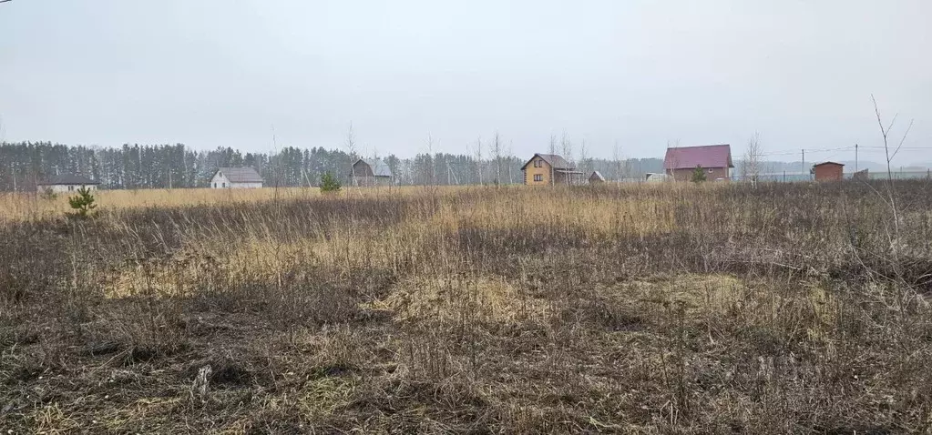 Участок в Московская область, Луховицы муниципальный округ, с. Матыра ... - Фото 0