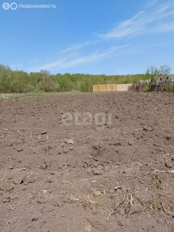 Участок в село Плотниково, Центральная улица (16 м) - Фото 0