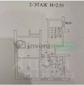 2-к кв. Калининградская область, Калининград Ольштынская ул., 26 (49.3 ... - Фото 2