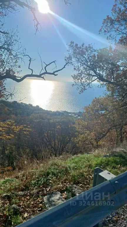 Участок в Крым, Ялта муниципальный округ, Массандра пгт ш. ... - Фото 1