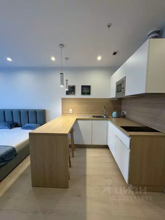 Студия Москва ул. 1-я Леонова, 18 (30.0 м) - Фото 2