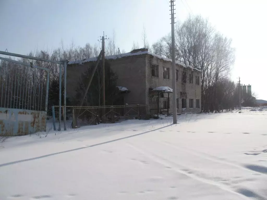 Помещение свободного назначения в Тамбовская область, с. Староюрьево ... - Фото 1
