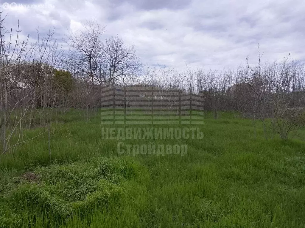 Участок в Таганрог, садовое товарищество Дачное-3 (6 м) - Фото 1