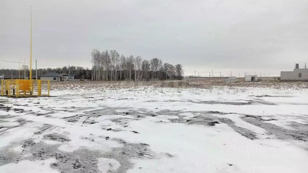 Участок в Алтайский край, Первомайский район, с. Фирсово  (8.0 сот.) - Фото 2
