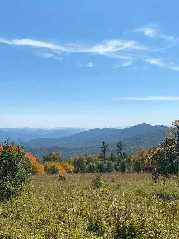 Участок в Алтай, Чемальский район, с. Бешпельтир  (3.0 сот.) - Фото 1