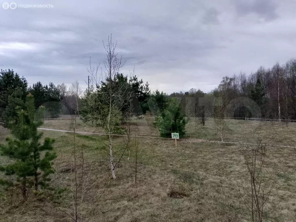 Участок в деревня Калинки, микрорайон Патриот (9 м) - Фото 0