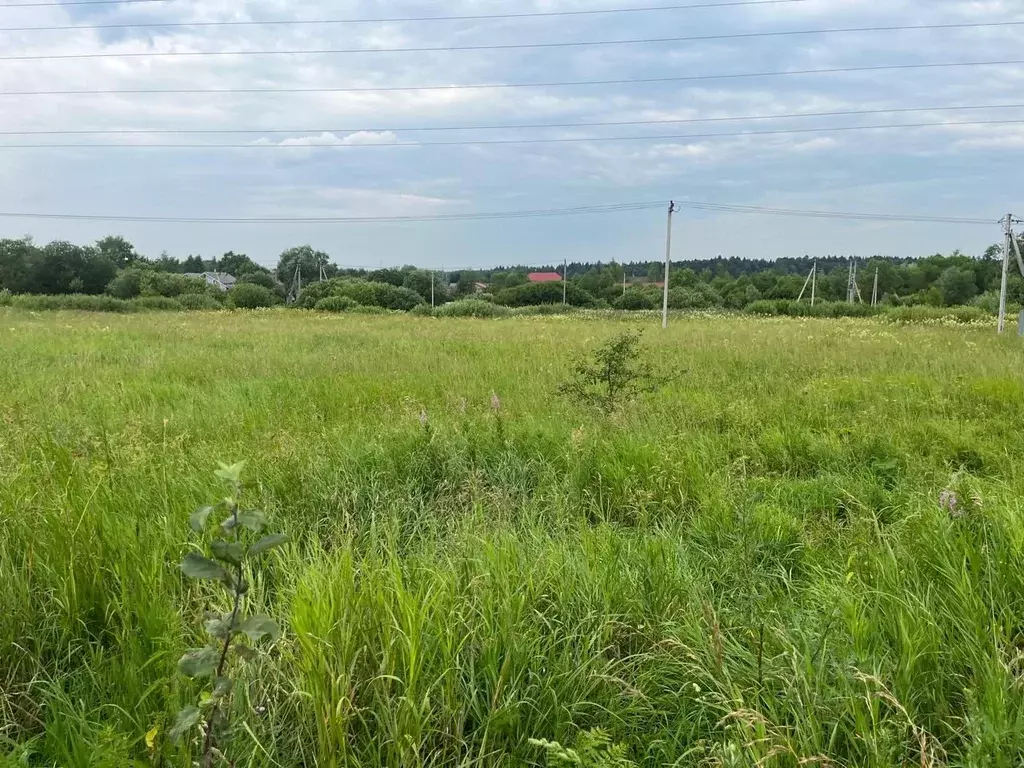 Участок в Москва № 98 кв-л,  (11.0 сот.) - Фото 1