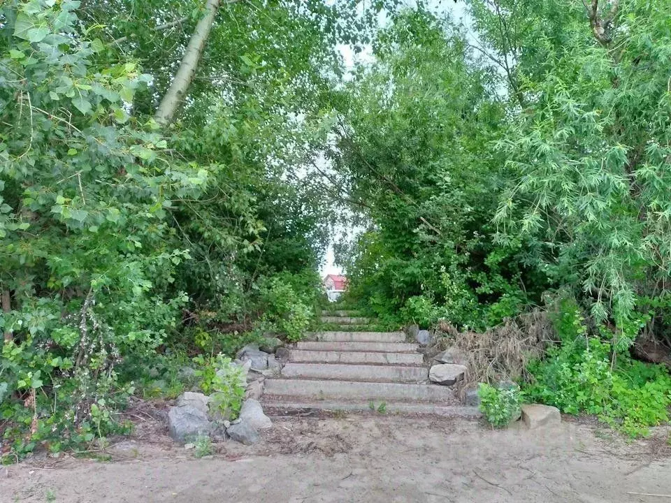 Участок в Новосибирская область, Новосибирск Волна СНТ, пер. 6-й ... - Фото 2