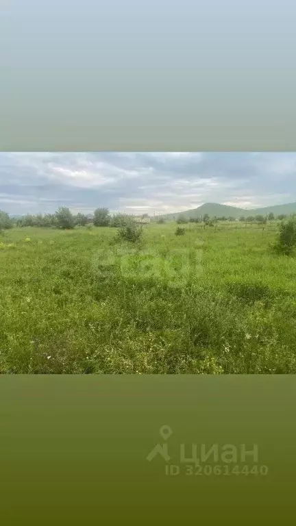Участок в Алтай, Майминский район, с. Подгорное ул. Заречная (6.0 ... - Фото 0