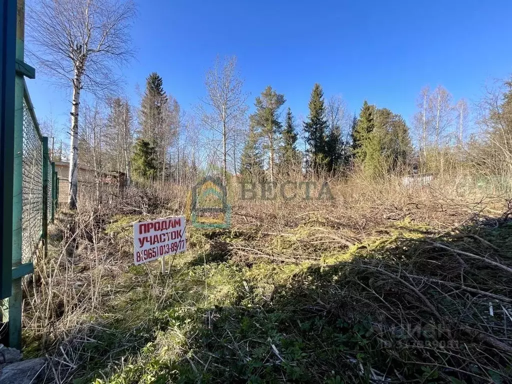 Участок в Ленинградская область, Всеволожский район, Куйвозовское ... - Фото 1