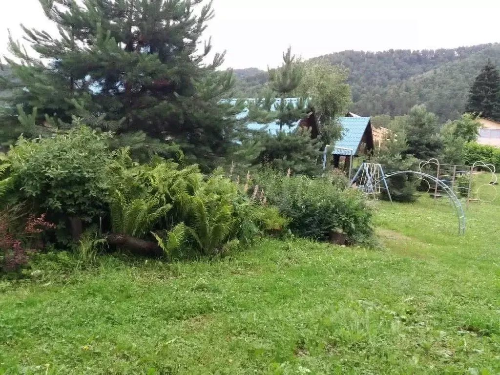 Дом в Алтай, Майминский район, с. Соузга Набережная ул., 58 (110 м) - Фото 1