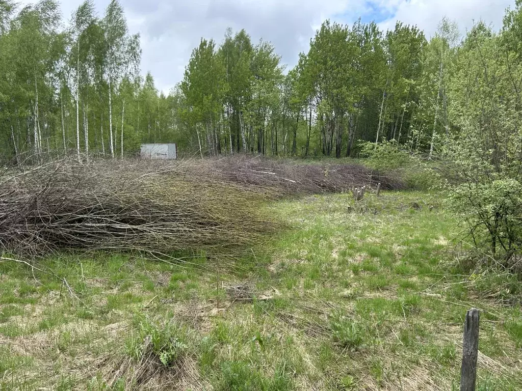 Участок в Владимирская область, Александровский район, Андреевское ... - Фото 1