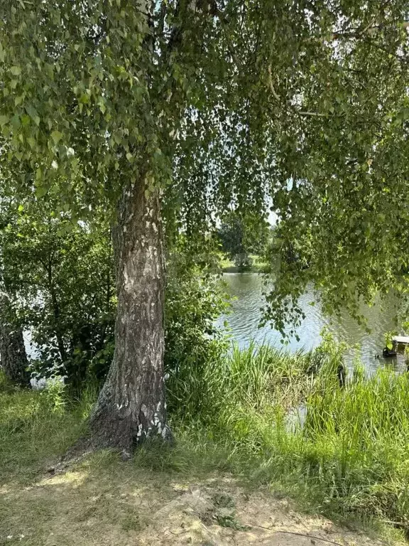 Участок в Калужская область, Жуковский муниципальный округ, Совхоз ... - Фото 1