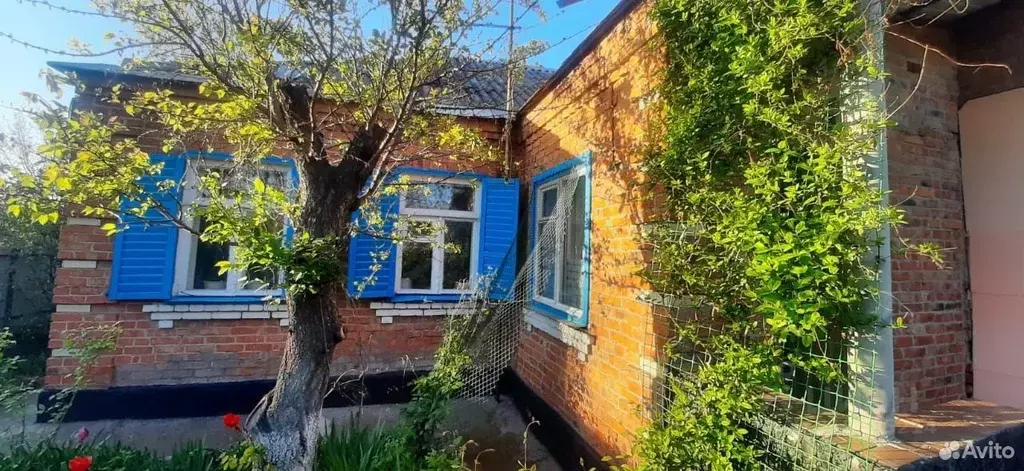 Дом в Краснодарский край, Щербиновский район, Старощербиновская ст-ца ... - Фото 0